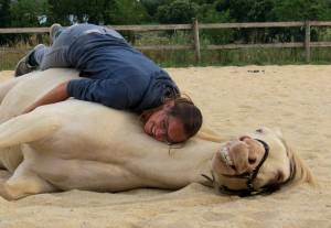 Arriado juillet 2015