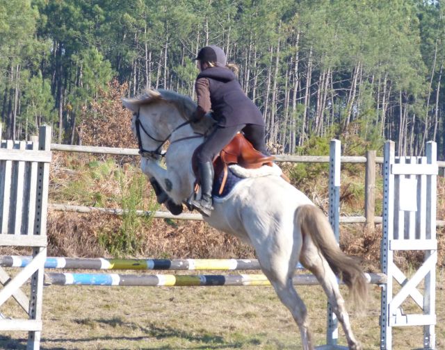 Tin au ranch 2 dec_2013