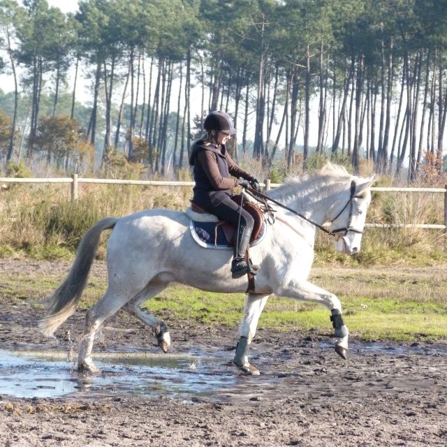 Tin au ranch dec_2013