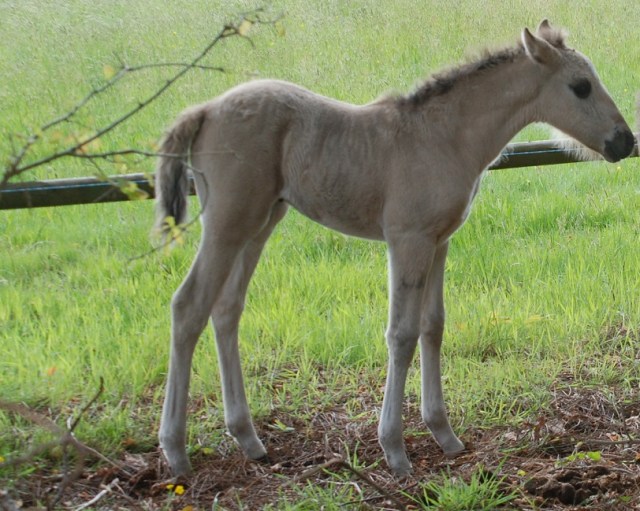 fidalga le 3 mai 2015 5