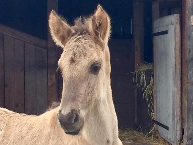 Galan le 14 avril 2016